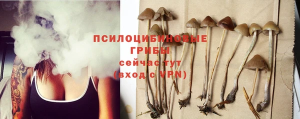 гашик Беломорск