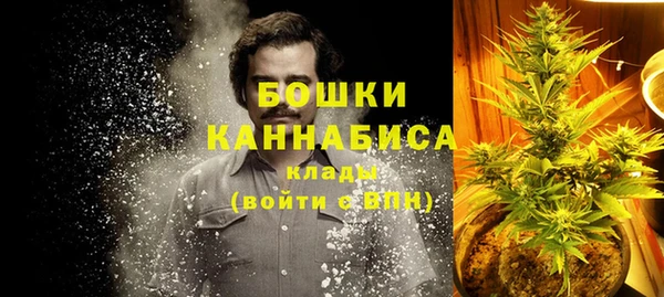 a pvp Белокуриха