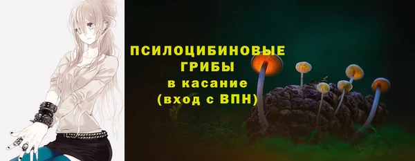 гашик Беломорск